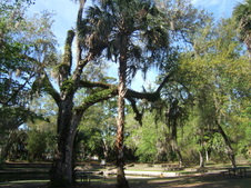 Enlarge photo 30