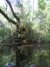 Enlarge photo 28