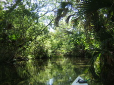 Enlarge photo 26