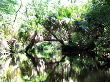 Enlarge photo 19