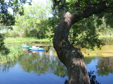 Enlarge photo 16