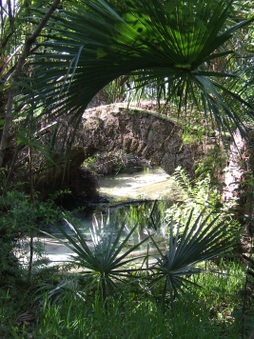 Enlarge photo 1