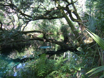 Enlarge photo 7