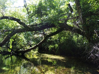 Enlarge photo 14