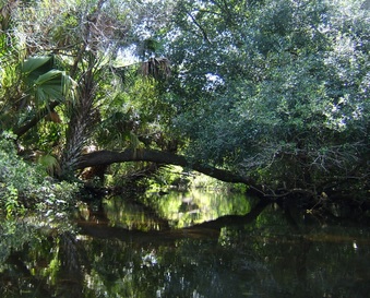 Enlarge photo 15