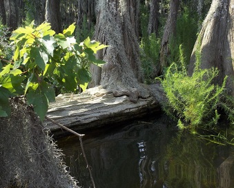 Enlarge photo 23