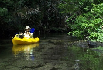 Enlarge photo 20