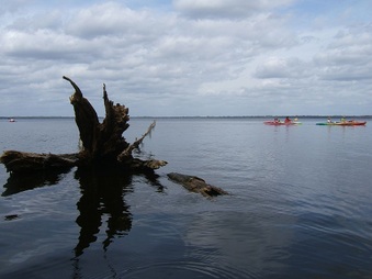 Enlarge photo 12