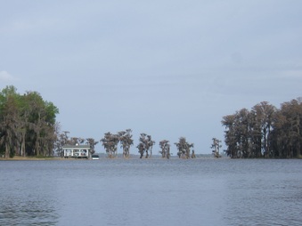 Enlarge photo 2