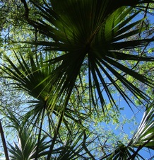 Enlarge photo 23