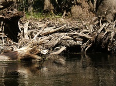 Enlarge photo 21