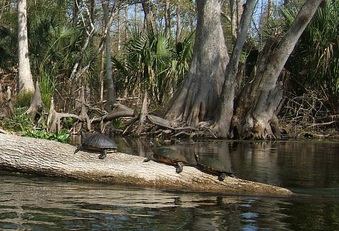 Enlarge photo 2