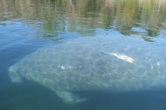 Enlarge photo 5