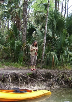 Enlarge photo 3