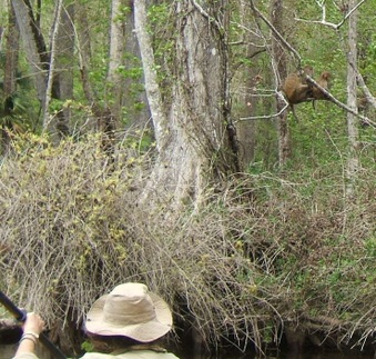 Enlarge photo 8