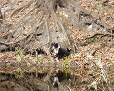 Enlarge photo 9