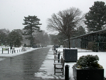 Enlarge photo 20