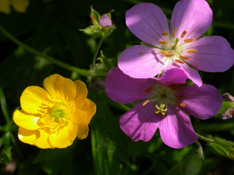 Enlarge photo 19