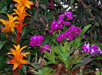 Enlarge photo 15