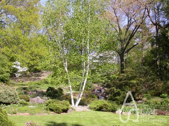 Enlarge photo 5