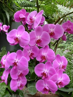 Enlarge photo 9