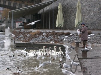 Enlarge photo 14