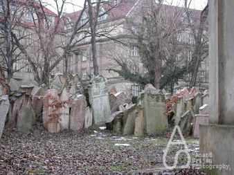 Enlarge photo 27