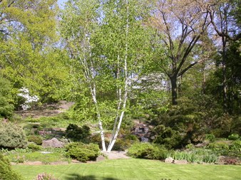 Enlarge photo 16