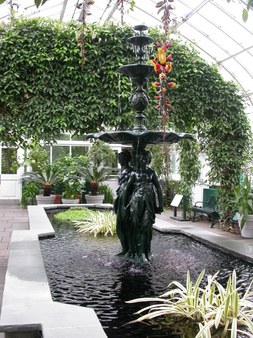 Enlarge photo 83