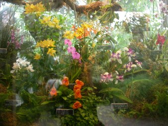 Enlarge photo 86