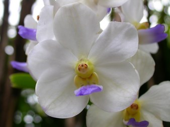 Enlarge photo 105