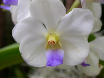 Enlarge photo 106