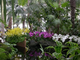 Enlarge photo 121
