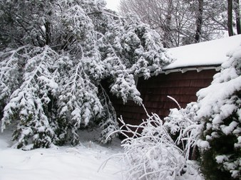 Enlarge photo 58