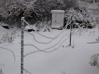 Enlarge photo 60