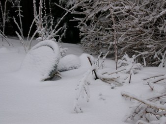 Enlarge photo 61