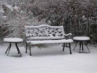 Enlarge photo 62