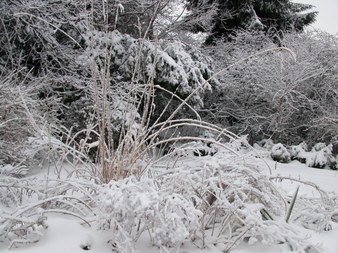 Enlarge photo 63