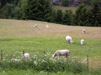Enlarge photo 158