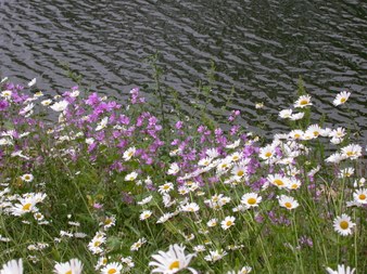 Enlarge photo 166