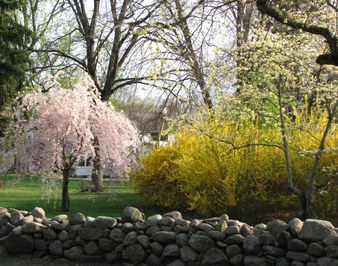 Enlarge photo 170