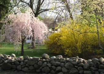 Enlarge photo 171