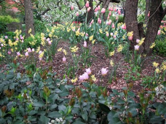 Enlarge photo 169