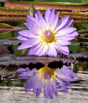 Enlarge photo 3