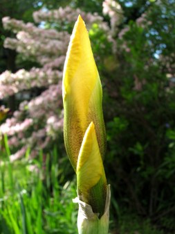 Enlarge photo 4