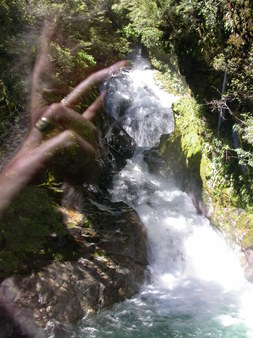 Enlarge photo 41