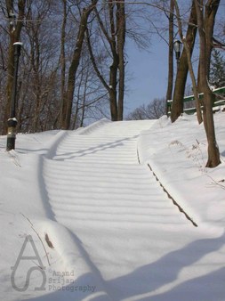 Enlarge photo 2