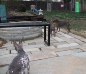 Enlarge photo 8