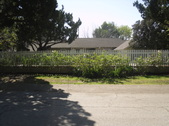 Enlarge photo 33