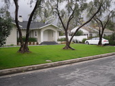 Houses